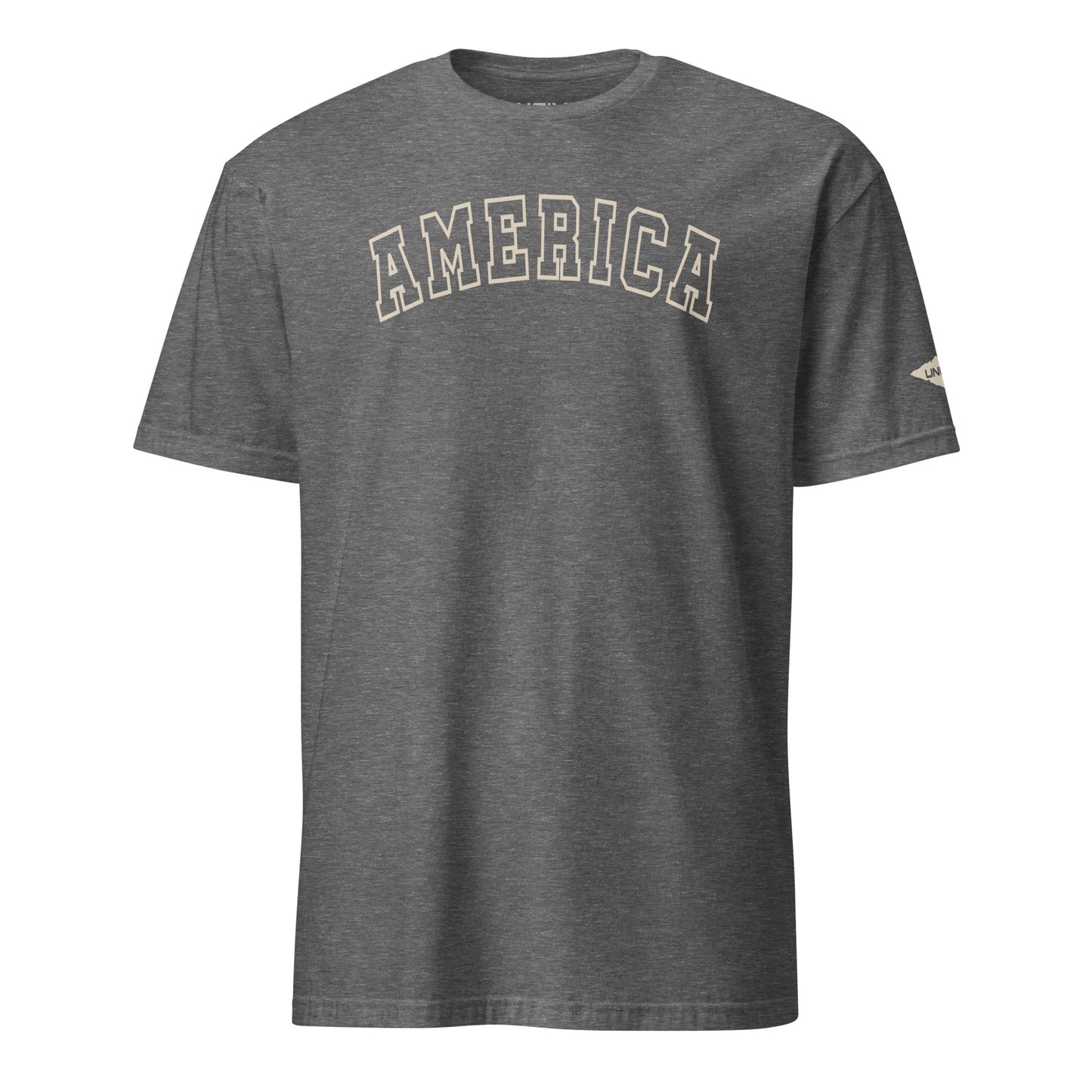 Grey America Varsity T-Shirt